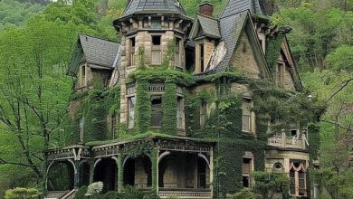 Photo of Clark E. Carr House in Galesburg, IL