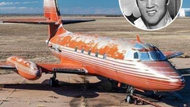 Photo of Elvis Presley’s private flight from 1962 has finally been sold – the interior is amazing