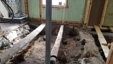 Photo of Norwegian Couple Find Viking Buried Under Their Home During Renovation