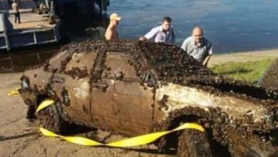 Photo of He Accidentally Found A Car At The Bottom Of The River And Called The Police. When They Arrived, The Police Were Horrified And Shocked