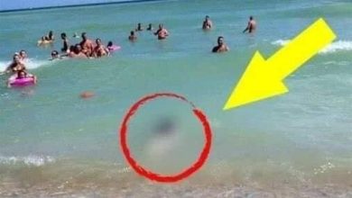 Photo of Tourists Stunned by What They Saw!