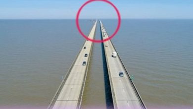 Photo of Even experienced drivers and motorists are scared to cross this bridge.