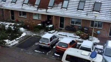 Photo of Several Residents Of A Dutch Village Reported An Unusual Thing At A Neighbor’s Home To The Authorities