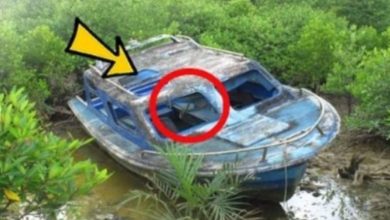 Photo of Mysterious boat runs aground, you’ll never believe what they find inside