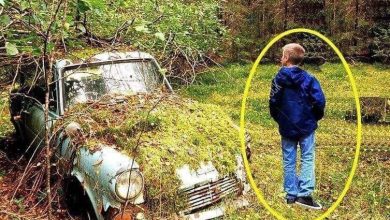 Photo of Kid walking through forest finds an abandoned old car, notices an old box with an envelope inside