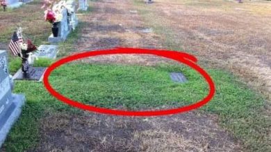 Photo of Stranger Keeps Secretly Visiting Soldier’s Grave, When Mom Finds Out ‘Why’ She Tracks Him Down