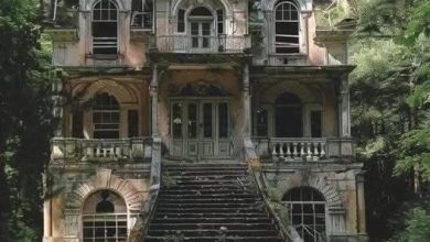 Photo of Whispers of Elegance: The Enigmatic Staircase of Italy’s Abandoned Mansion