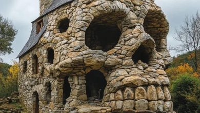 Photo of The History of the Skull Shaped Stone House