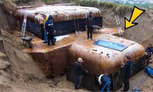 Photo of Woman Discovers Buried Bunker in Her Garden – Then She Sees Why…