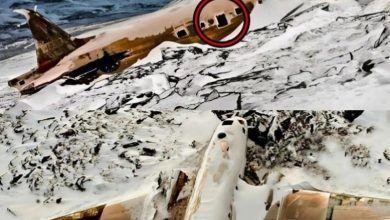 Photo of Lost plane found after decades: Researchers stunned by what’s inside—you won’t believe what they discovered