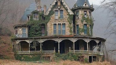 Photo of The Secrets of Theodore Alcott Mansion