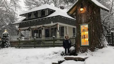 Photo of Woman Turned 110-Year-Old Dead Tree Into A Free Little Library For The Neighborhood And It Looks Magical ‎…