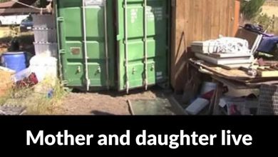 Photo of Mother and daughter live in a shipping container, but when you see what’s inside, you’ll be amazed.