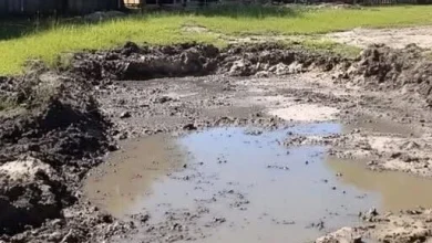 Photo of My neighbor dug up my pond, and I taught him why you shouldn’t cross an older woman.
