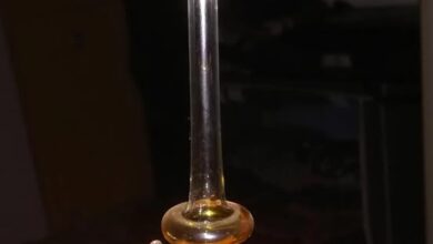 Photo of Mystery in Glass: Could You Identify This Strange Antique?