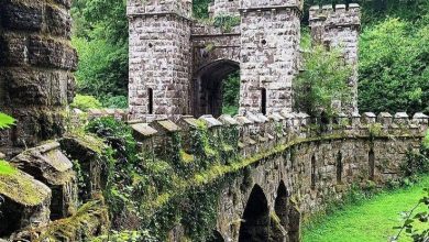 Photo of The Hidden Swamp Tower of Pena Palace, Sintra