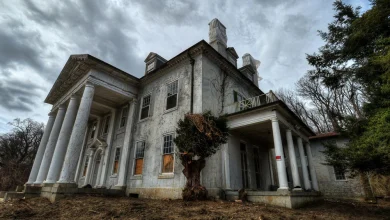 Photo of “Breathing new life into history: The meticulous restoration of Selma Mansion in Leesburg, Virginia, honors its timeless grandeur while preserving its storied legacy for generations to come.”