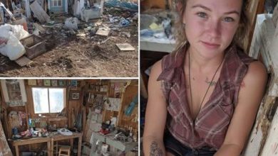 Photo of After her divorce, she was left with nothing but a small, broken-down shed. Piece by piece, she rebuilt it with her own hands — and turned it into one of the coziest tiny homes you’ll ever see!