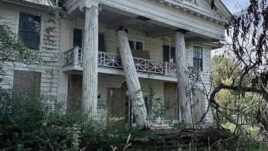 Photo of Hardie-Coleman House