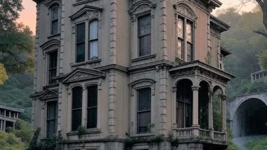 Photo of The Enigmatic Mansion at the End of the Stairs