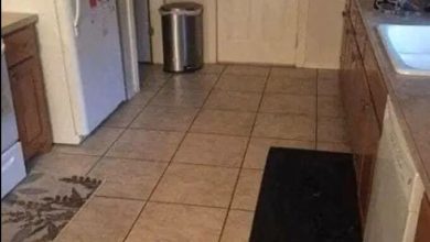 Photo of Look closely, There is a dog hidden in this kitchen scene
