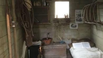 Photo of THIS OLD CABIN WAS THE ONLY INHERITANCE I GOT FROM MY GRANDPARENTS—AND IT MADE ME RICHER THAN I EVER IMAGINED