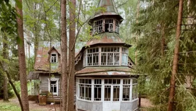 Photo of Chirikov’s Abandoned House – The Exiled Writer Who Disturbed Lenin