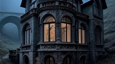 Photo of The House of Shadows