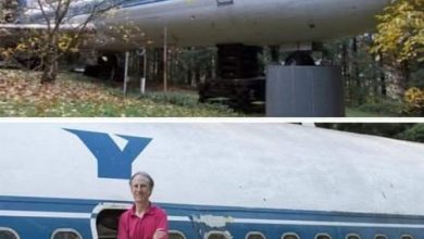 Photo of Wait Until You See Inside This Man’s Home, Which He Made Out of An Airplane