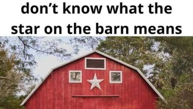 Photo of The True Meaning Behind “Barn Stars”
