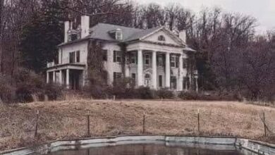 Photo of “Breathing new life into history: The meticulous restoration of Selma Mansion in Leesburg, Virginia, honors its timeless grandeur while preserving its storied legacy for generations to come.”