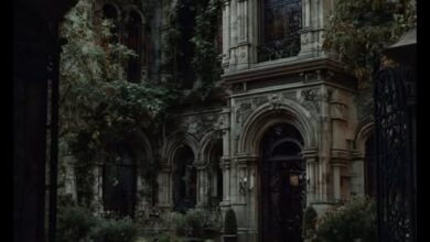 Photo of “Flower in the Forgotten Manor”