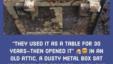 Photo of This Family Ignored a Heavy Crate for 30 Years—What They Found Inside Left Them Speechless