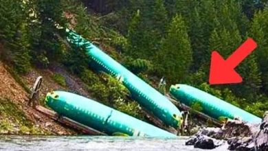 Photo of Decades-Old Lost Plane Discovered – Researchers’ Emotional Reaction to What They Find Inside (Video in First Comment)