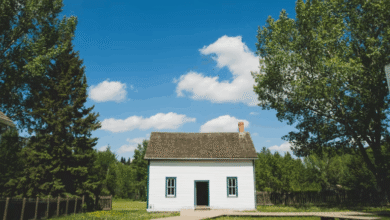 Photo of Off The RecordI Found A Lost Dog In My Garden—The Owner Offered Me $150,000, But I Chose Something Money Couldn’t Buy