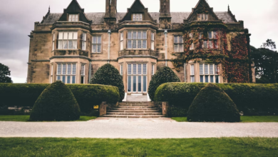 Photo of My Daughter Was Homeless While Her Ex-Husband Lived In A Mansion. My Revenge Was Brutal