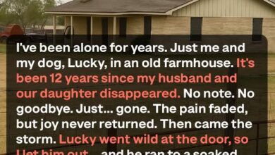 Photo of The Homeless Girl Returned What I Thought Was Gone