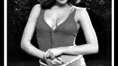 Photo of Do you remember her. In the 1980s, this striking woman was an upcoming Hollywood star. During her heyday, she received three Academy Awards, but then she faded into obscurity. Now, at 67, it’s hard to recognize her…