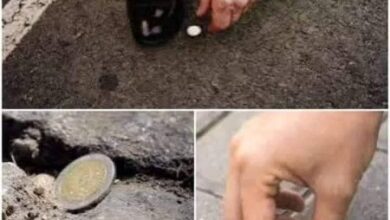 Photo of Did you know that if you find a coin on the street it mean… See more