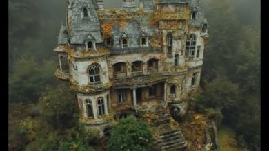 Photo of The Eerie Loom of Petrov’s Weaving Chamber