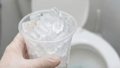 Photo of A prize-winning middle school science experiment uncovered alarming results: in 70% of cases, ice samples from fast-food places had higher levels of bacteria—including E. coli—than water from the same locations’ toilet bowls.