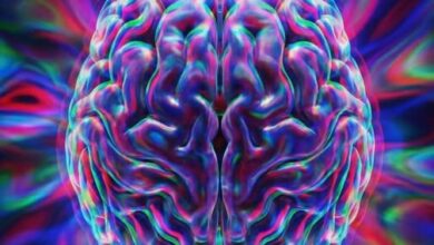 Photo of LSD Redesign Unlocks Brain Repair 100x Stronger – No Hallucinations, Game-Changer for Mental Health!