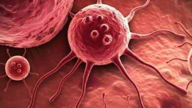 Photo of Tiny Particles Just Declared War on Cancer – They Generate Killer Oxygen Inside Tumors Only