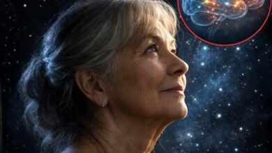 Photo of Your Brain Doesn’t Peak in Your 20s – It Actually Gets Sharper After 55, Science Says