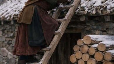 Photo of An elderly woman spent the entire summer and autumn covering the roof of her house with sharp wooden stakes. The entire village was convinced she had lost her mind… until winter finally arrived – Story