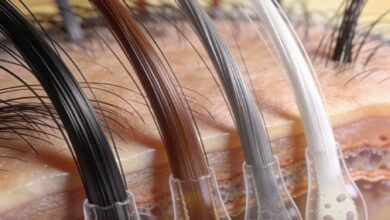 Photo of Your Gray Hair Isn’t Gone Forever – Science Says It Might Just Be “Stuck” and Ready to Come Back