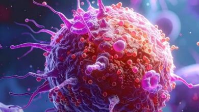 Photo of One Stem Cell = 14 Million Cancer-Killing Super Cells – This Chinese Breakthrough Could Change Everything