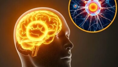 Photo of Your Brain Literally Rewires When You Focus on the Good – Science Proves It