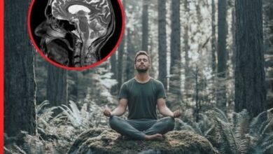 Photo of Doing NOTHING for 2 Hours a Day Literally Grows New Brain Cells – Science Says So!