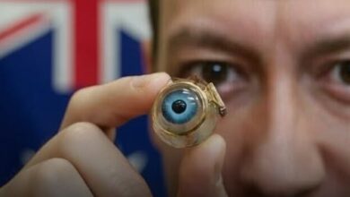 Photo of Blind People Could See Again: World’s First Brain-Implanted Bionic Eye Heads to Human Trials!